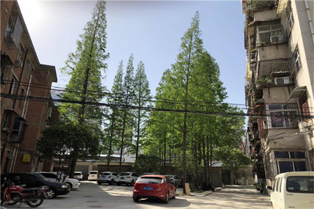 密州盛元名苑3室2厅1卫88万100m2出售