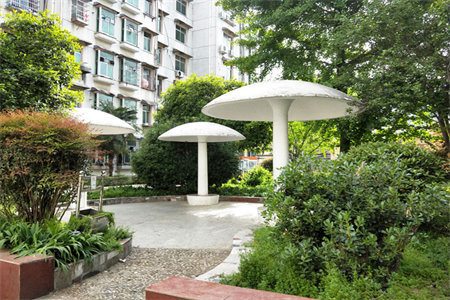 纸厂家属院3室2厅1卫52万100m2出售