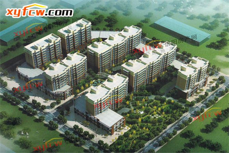 泰安市泰山区北新街小区3室1厅1卫143万71m2出售